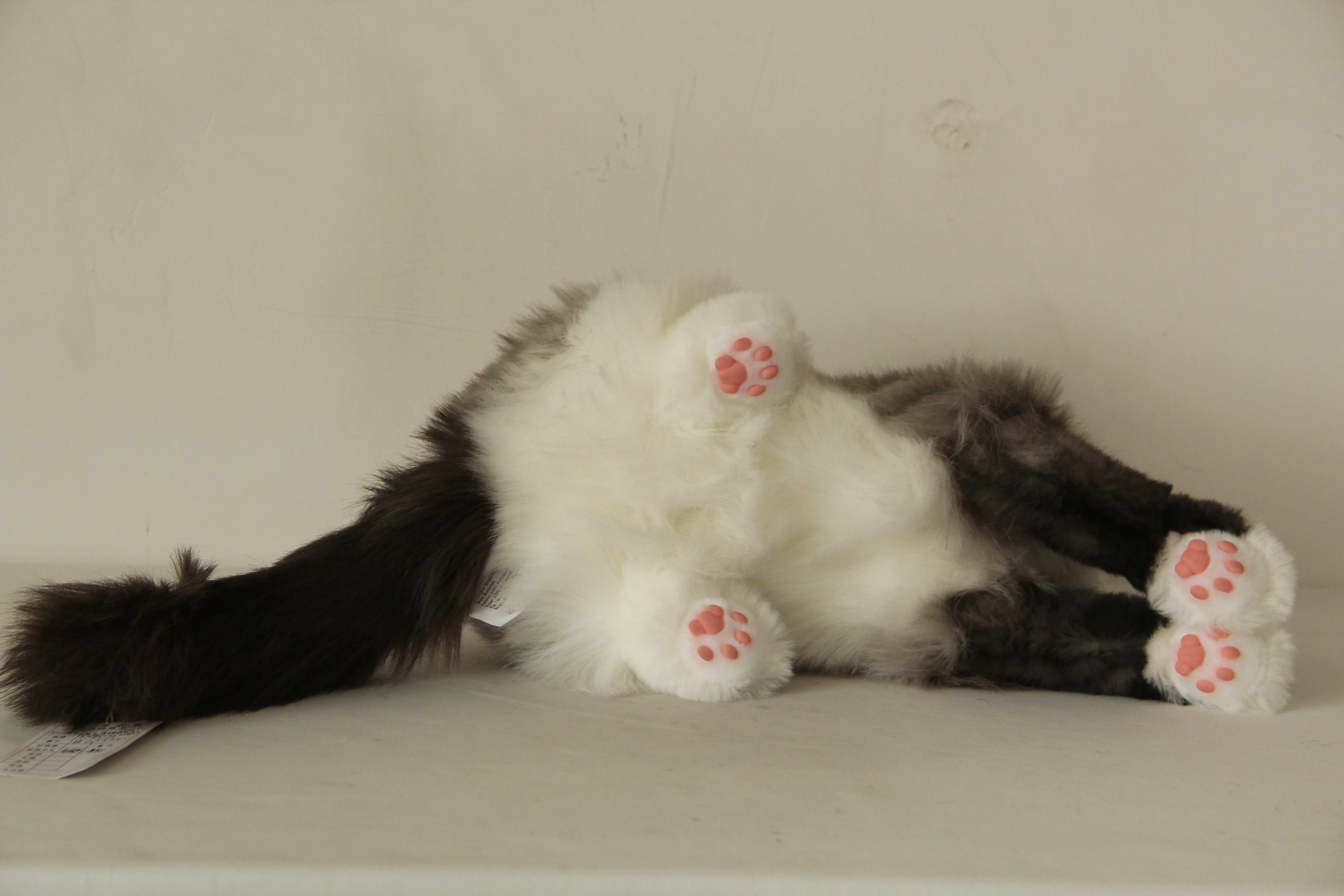 Siamese Cat Longhair MADE-TO-ORDER - Image 5