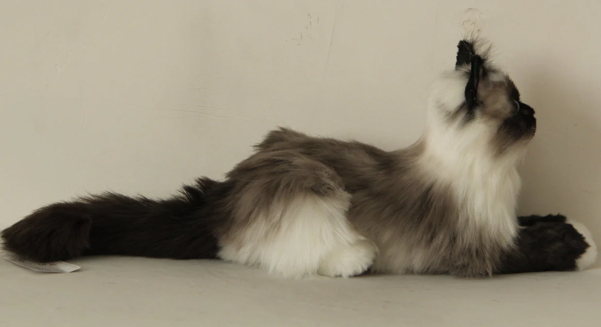 Siamese Cat Longhair MADE-TO-ORDER - Image 6