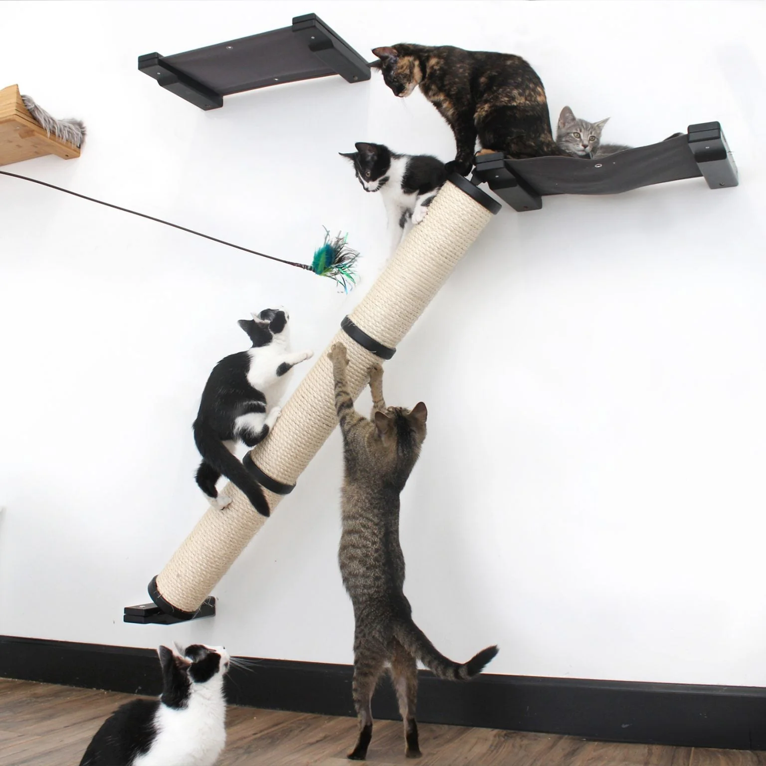 Slanted Cat Scratcher for Wall - Image 2