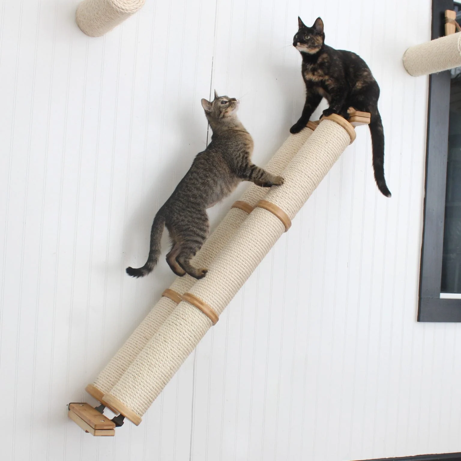 Slanted Cat Scratcher for Wall - Image 4