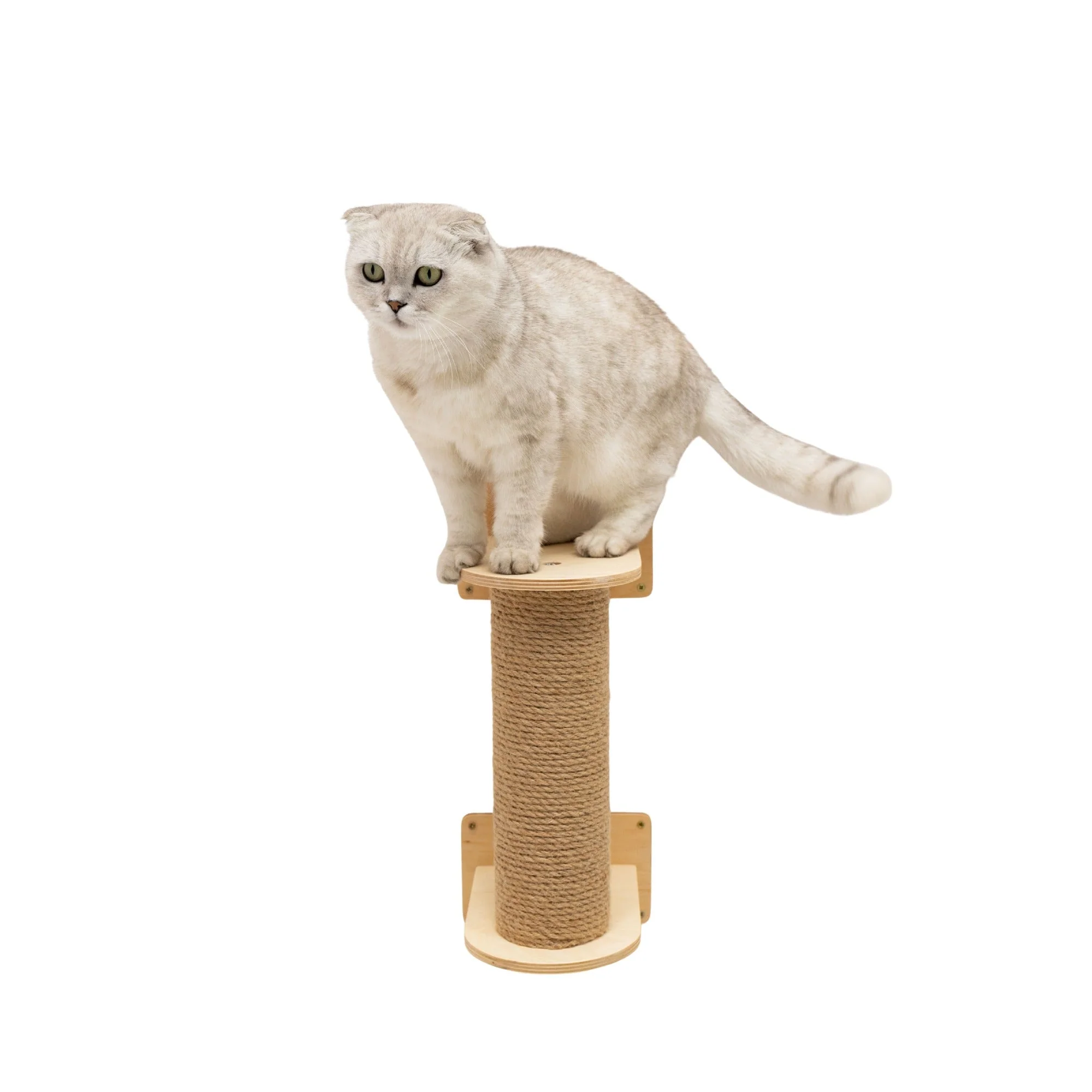 Small Cat Tree – Light