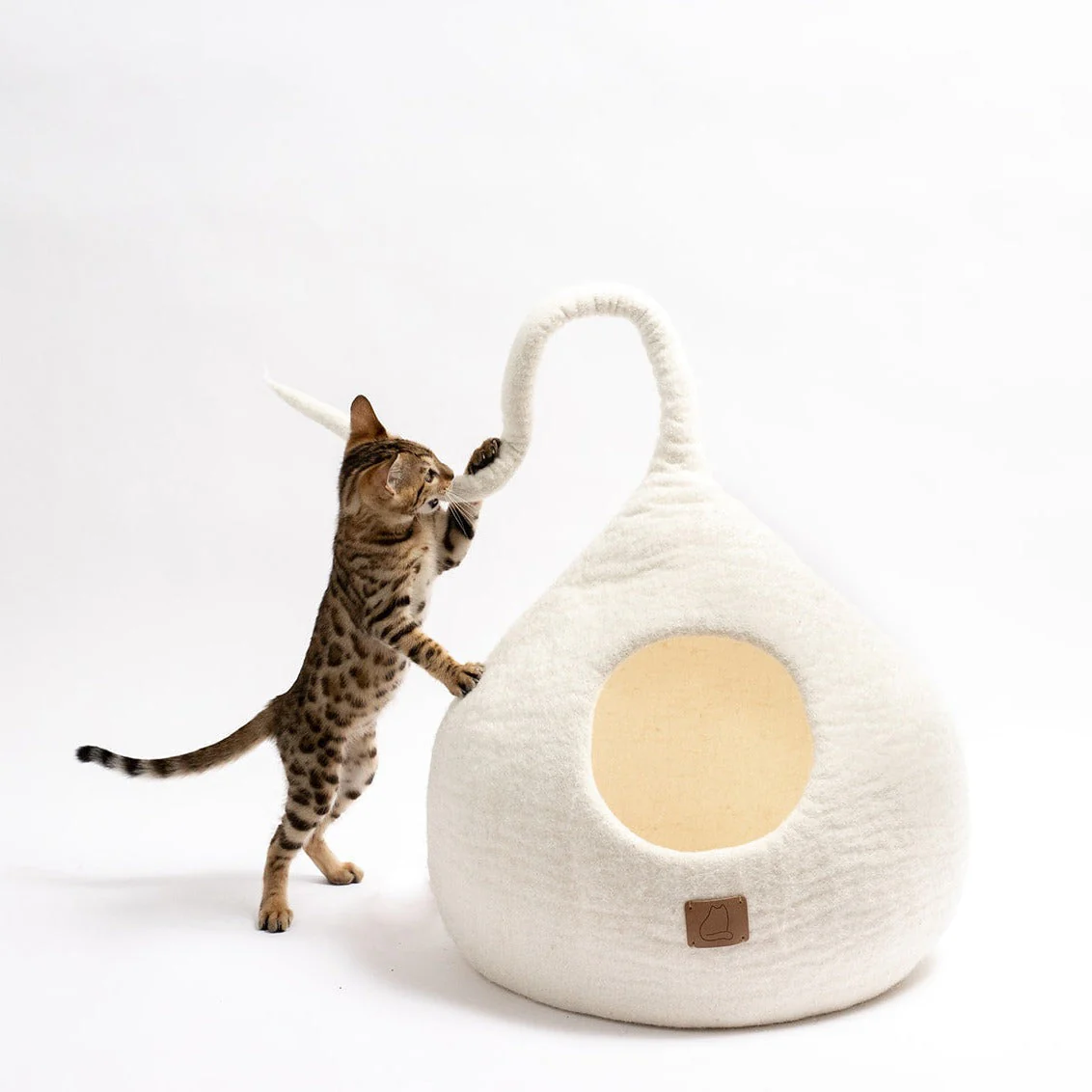 Snow White | Tail Style Cave - Image 6
