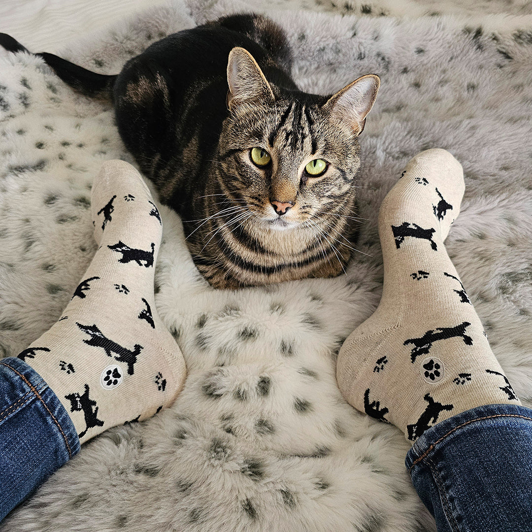 Socks that Save Cats - Image 3