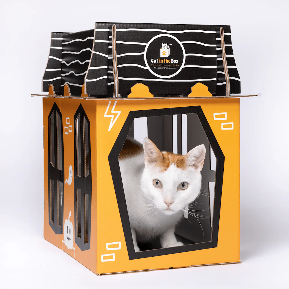 Spooky Cat Haunted House Cardboard Condo - Image 10