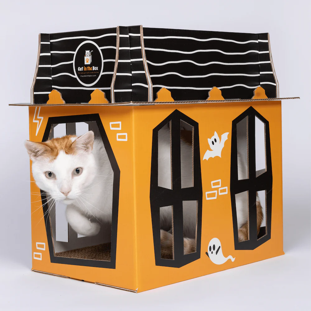 Spooky Cat Haunted House Cardboard Condo - Image 3