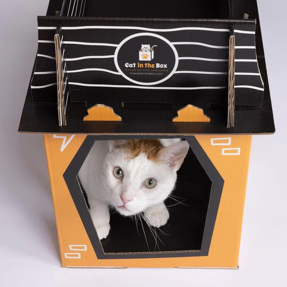 Spooky Cat Haunted House Cardboard Condo - Image 9