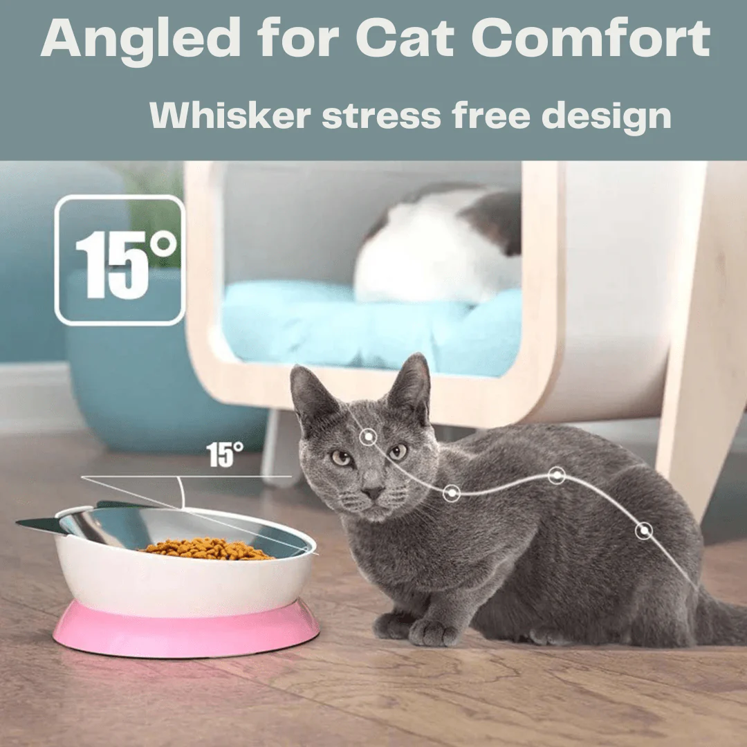 Stainless Steel Elevated Angled Cat Bowl - Image 3