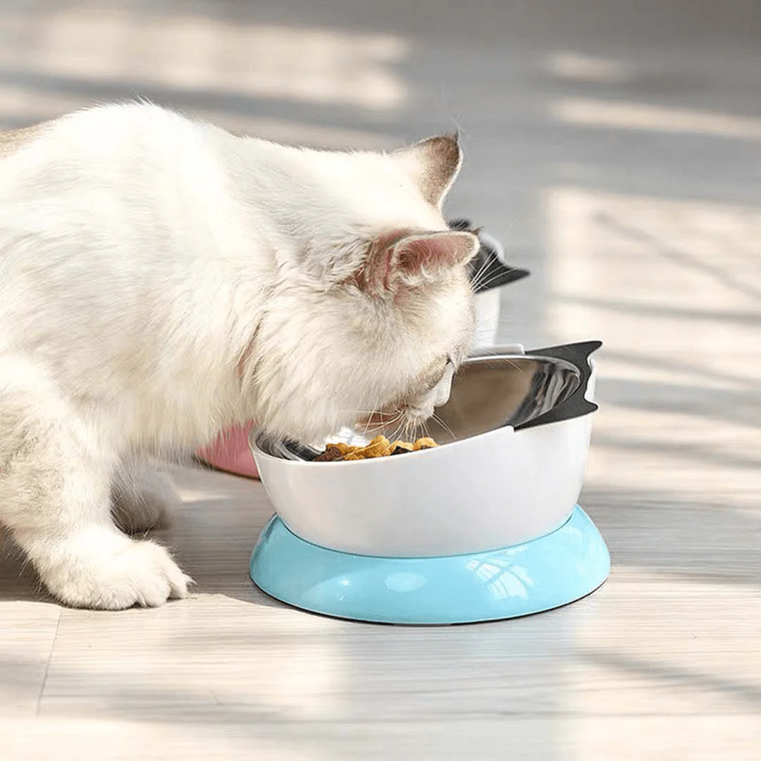 Stainless Steel Elevated Angled Cat Bowl - Image 5