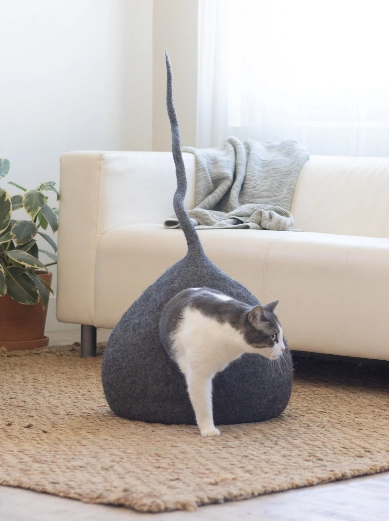 Stone Gray | Tail Style Cave - Image 4