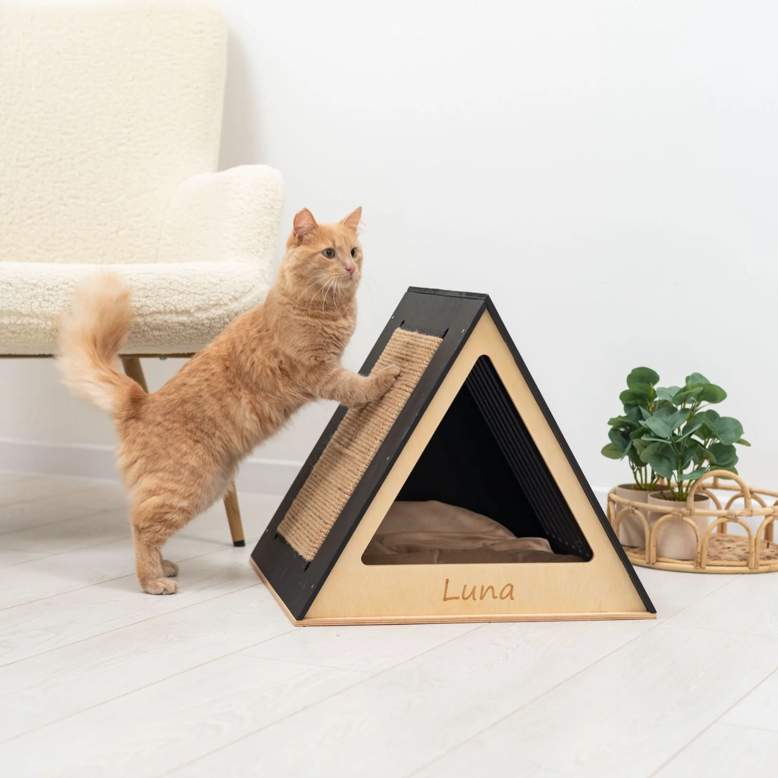Stylish Wooden Cat Houses - Black - Image 2