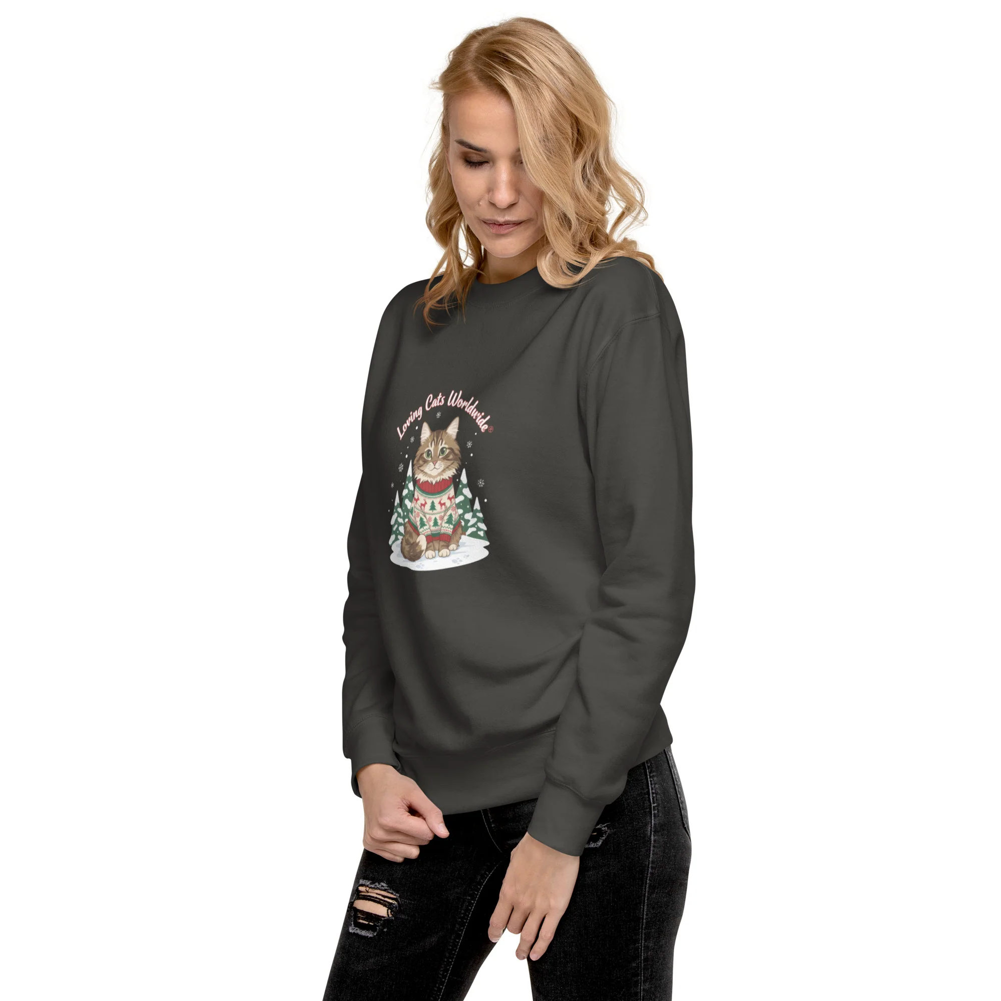 Sweater Weather Tabby: Brown Cat Winter Vibes Sweatshirt - Image 25