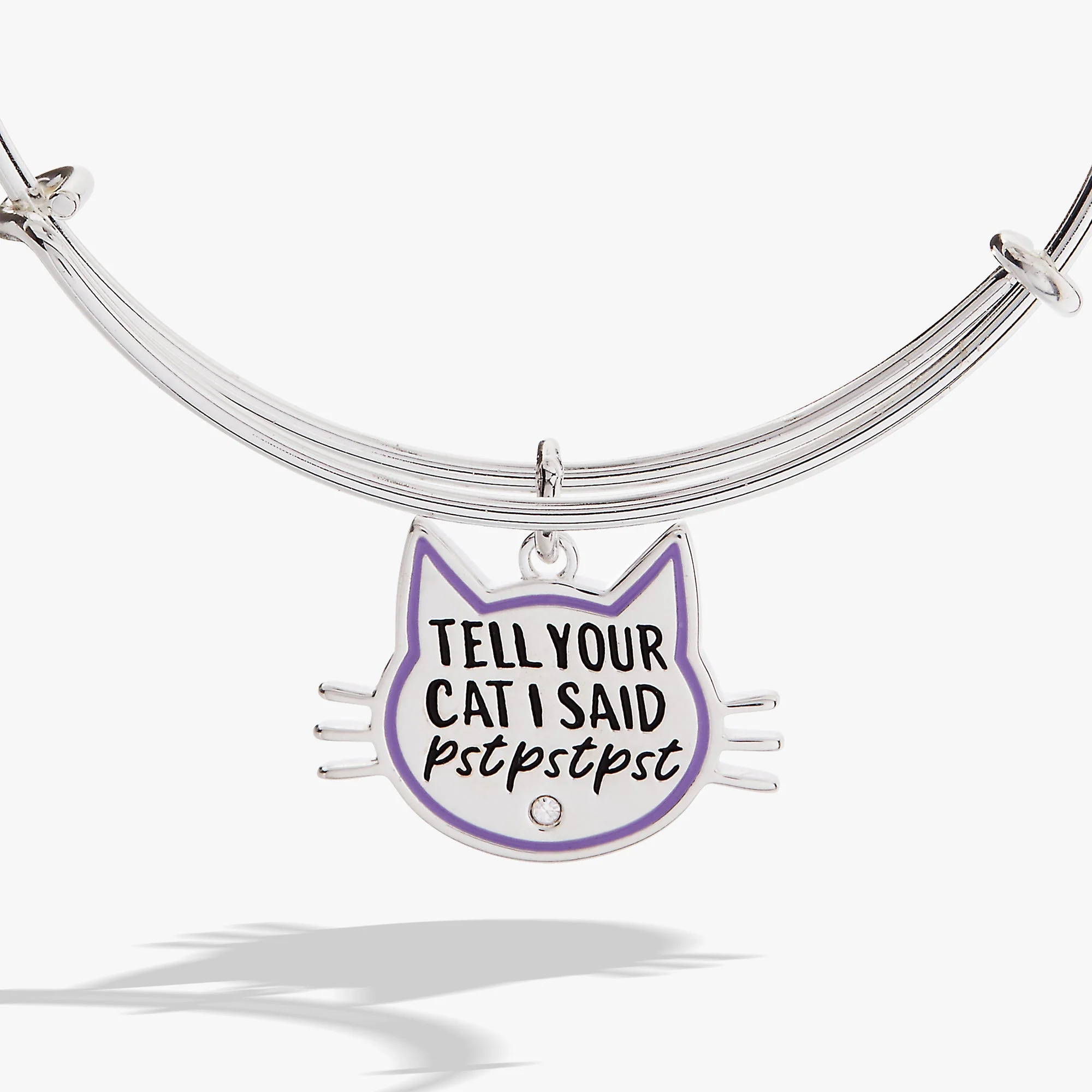 'Tell Your Cat I Said Pst Pst Pst' Bangle - Image 2