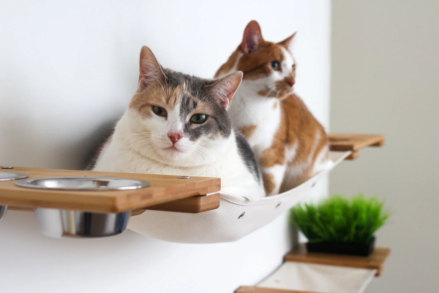 The Bunker - Multi Level Cat Tree with Perch - Image 16