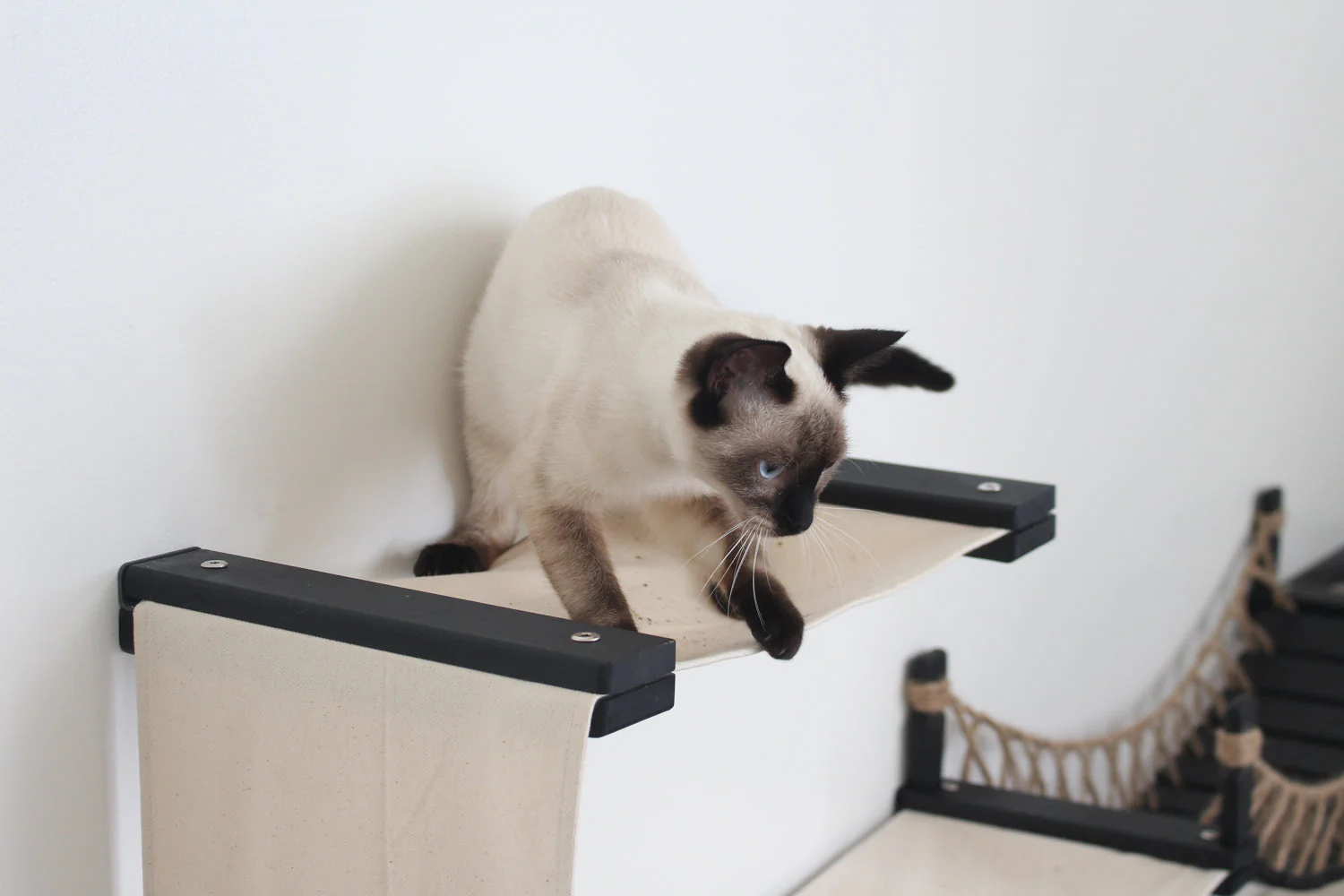 The Canyon - Our Best Cat Tree for Multiple Cats - Image 15