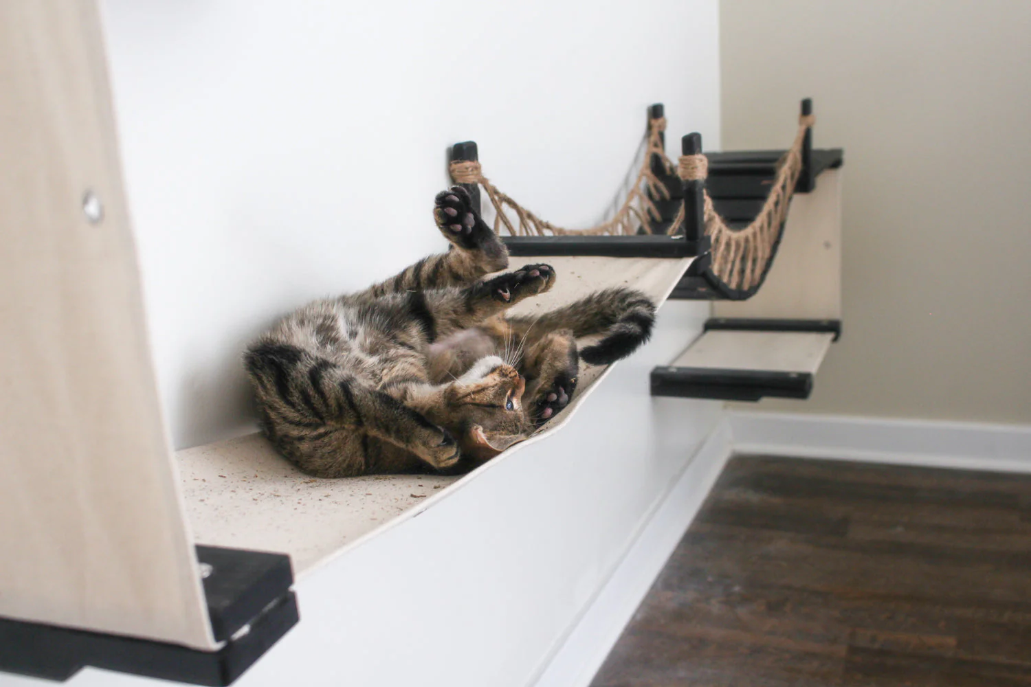 The Canyon - Our Best Cat Tree for Multiple Cats - Image 3
