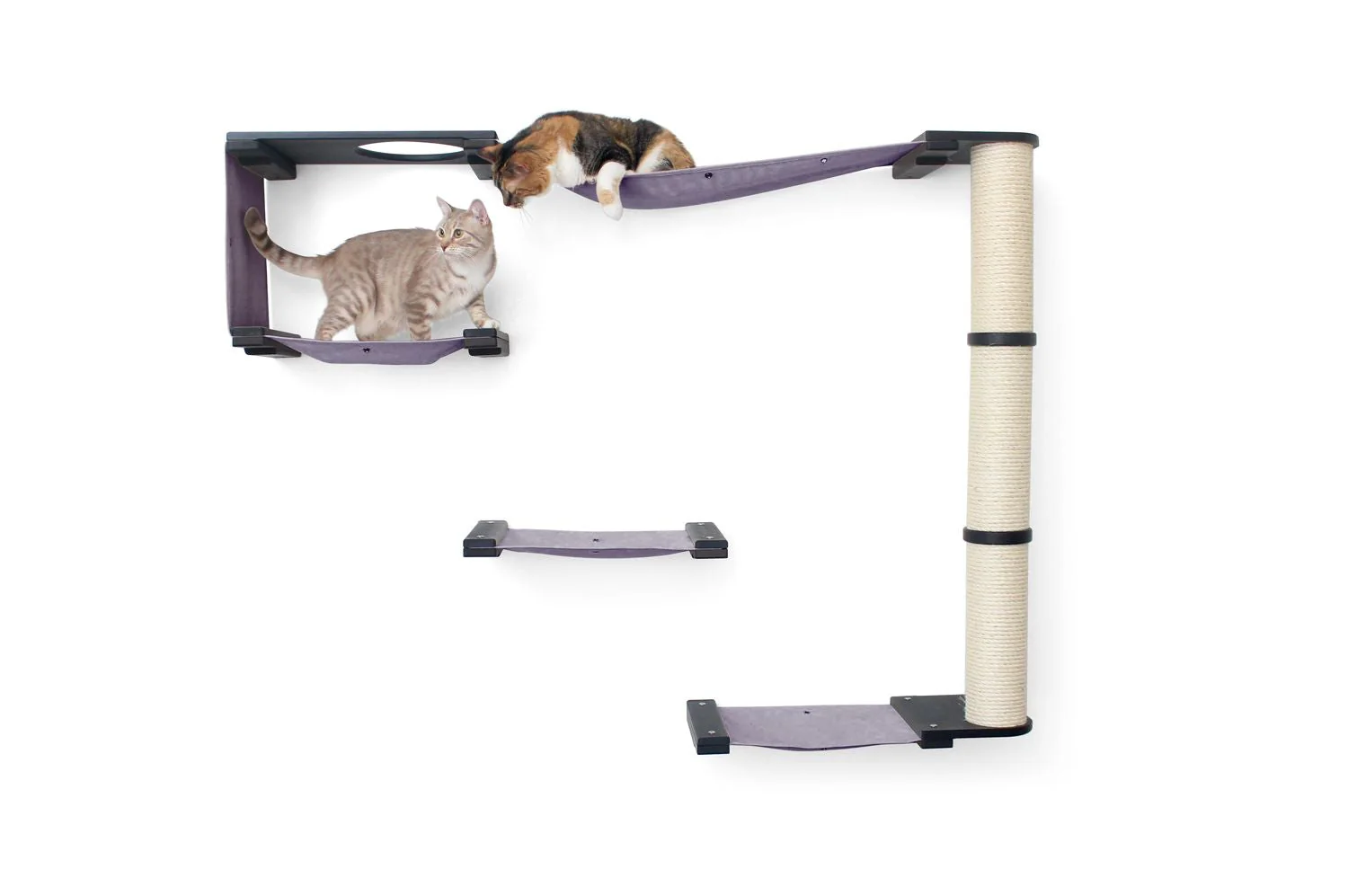 The Climb Condo - Cat Wall Climbing System - Image 10