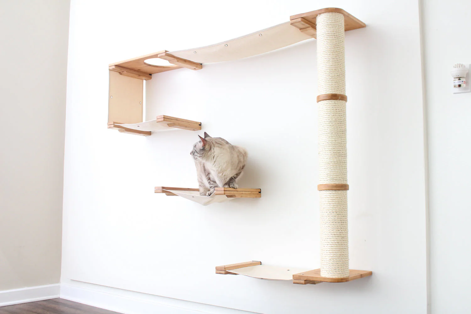 The Climb Condo - Cat Wall Climbing System - Image 13