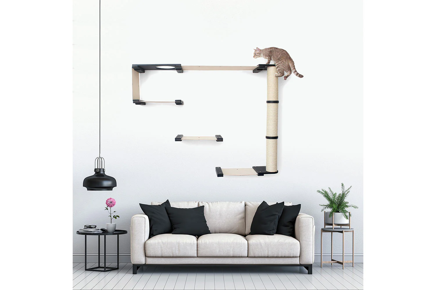 The Climb Condo - Cat Wall Climbing System - Image 17