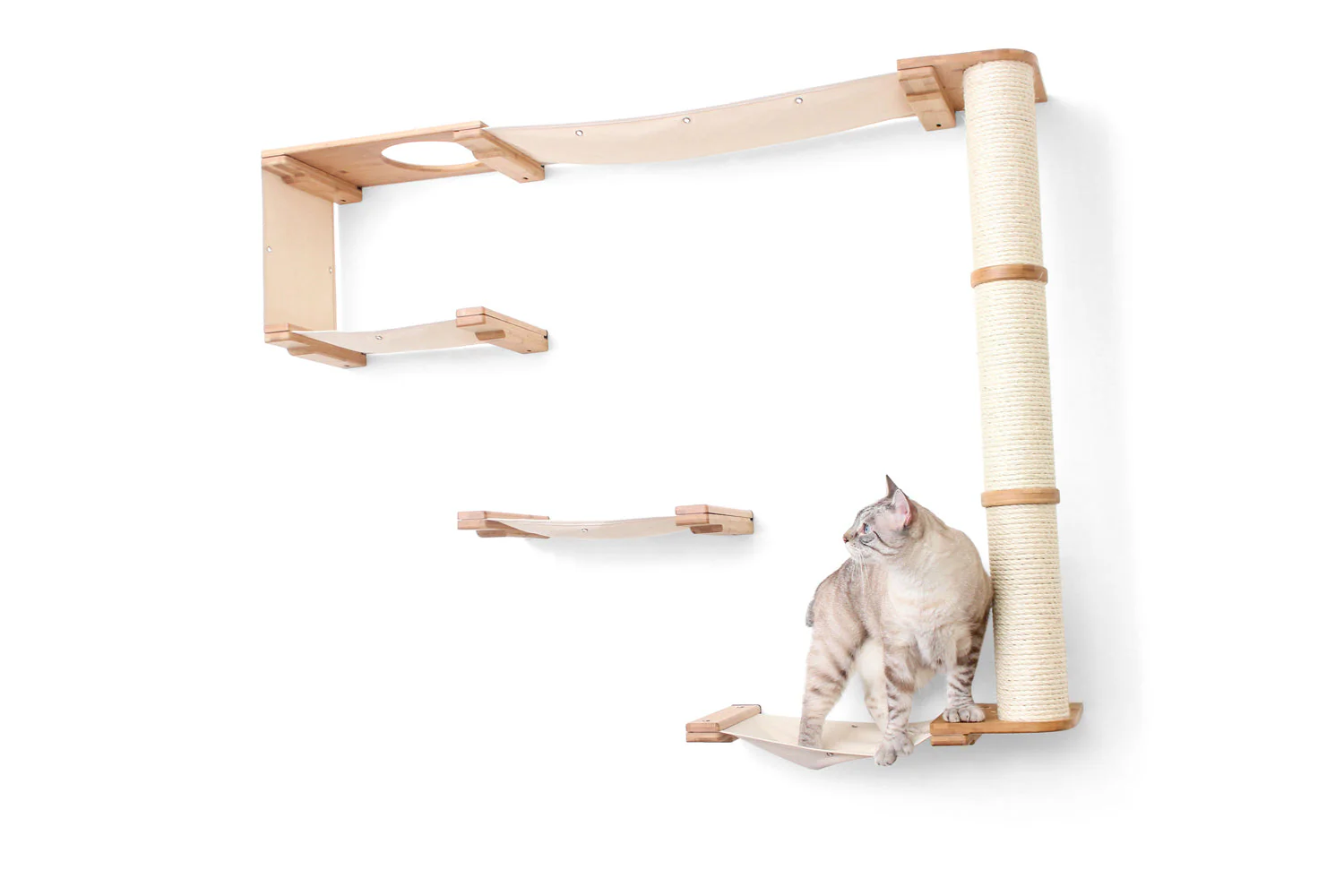 The Climb Condo - Cat Wall Climbing System - Image 5