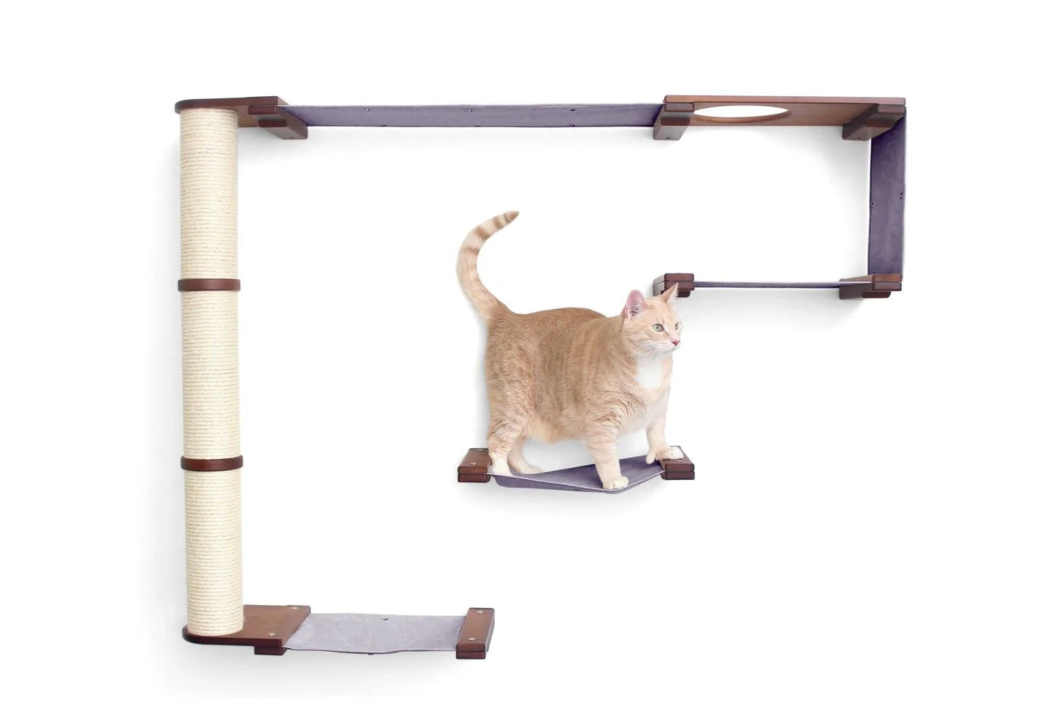 The Climb Condo - Cat Wall Climbing System - Image 7