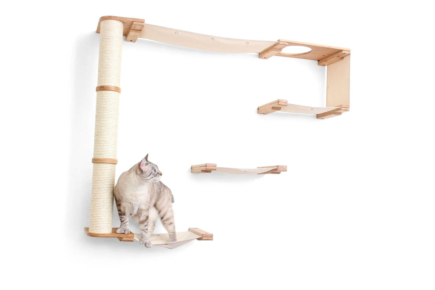 The Climb Condo - Cat Wall Climbing System - Image 8