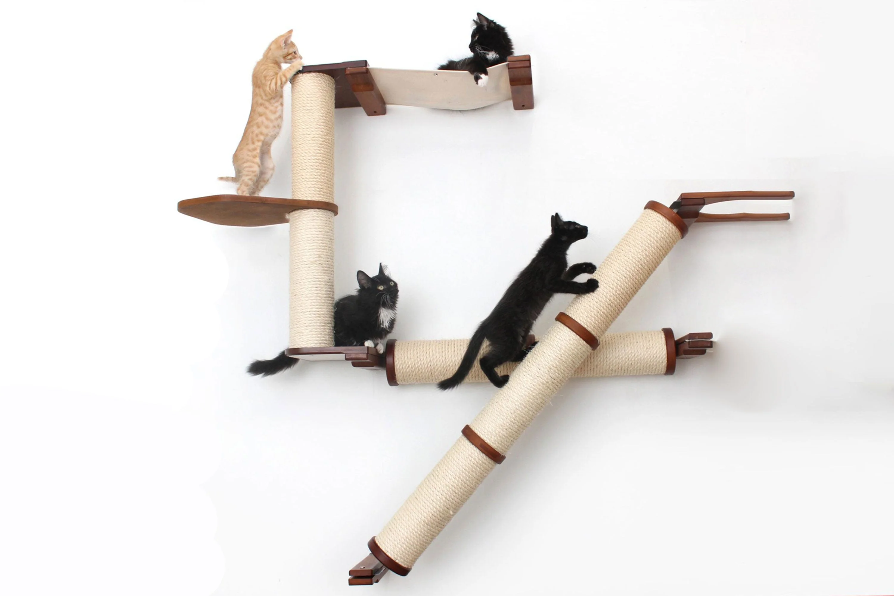 The Crossroads - Cat Wall Scratcher - Tree with Ramp - Image 18