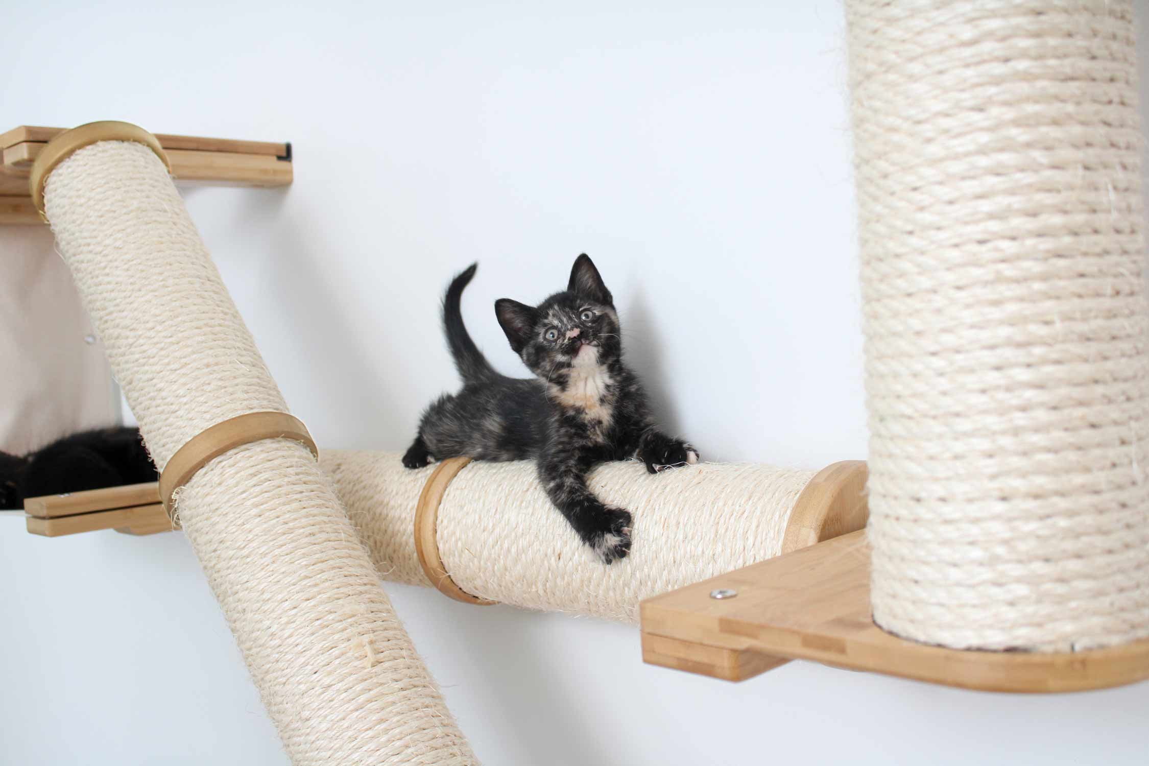 The Crossroads - Cat Wall Scratcher - Tree with Ramp - Image 3