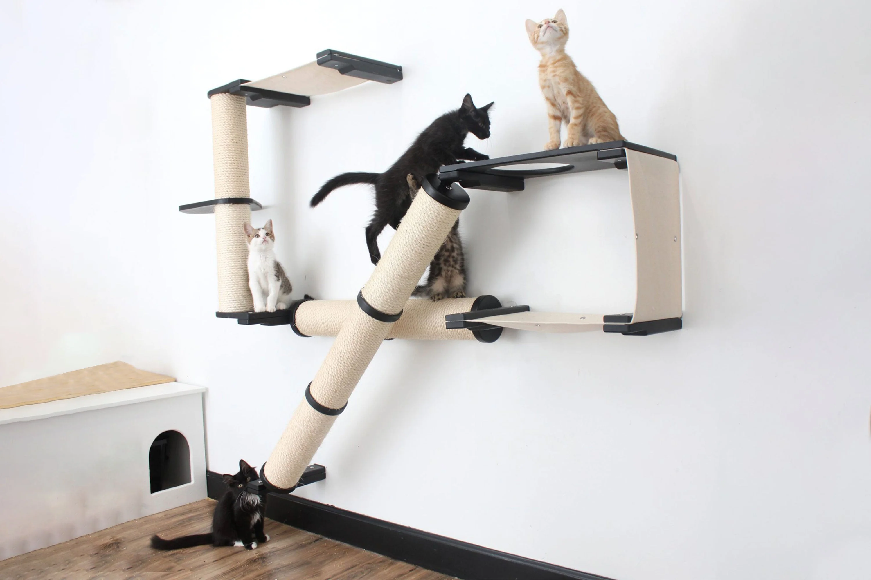 The Crossroads - Cat Wall Scratcher - Tree with Ramp - Image 4