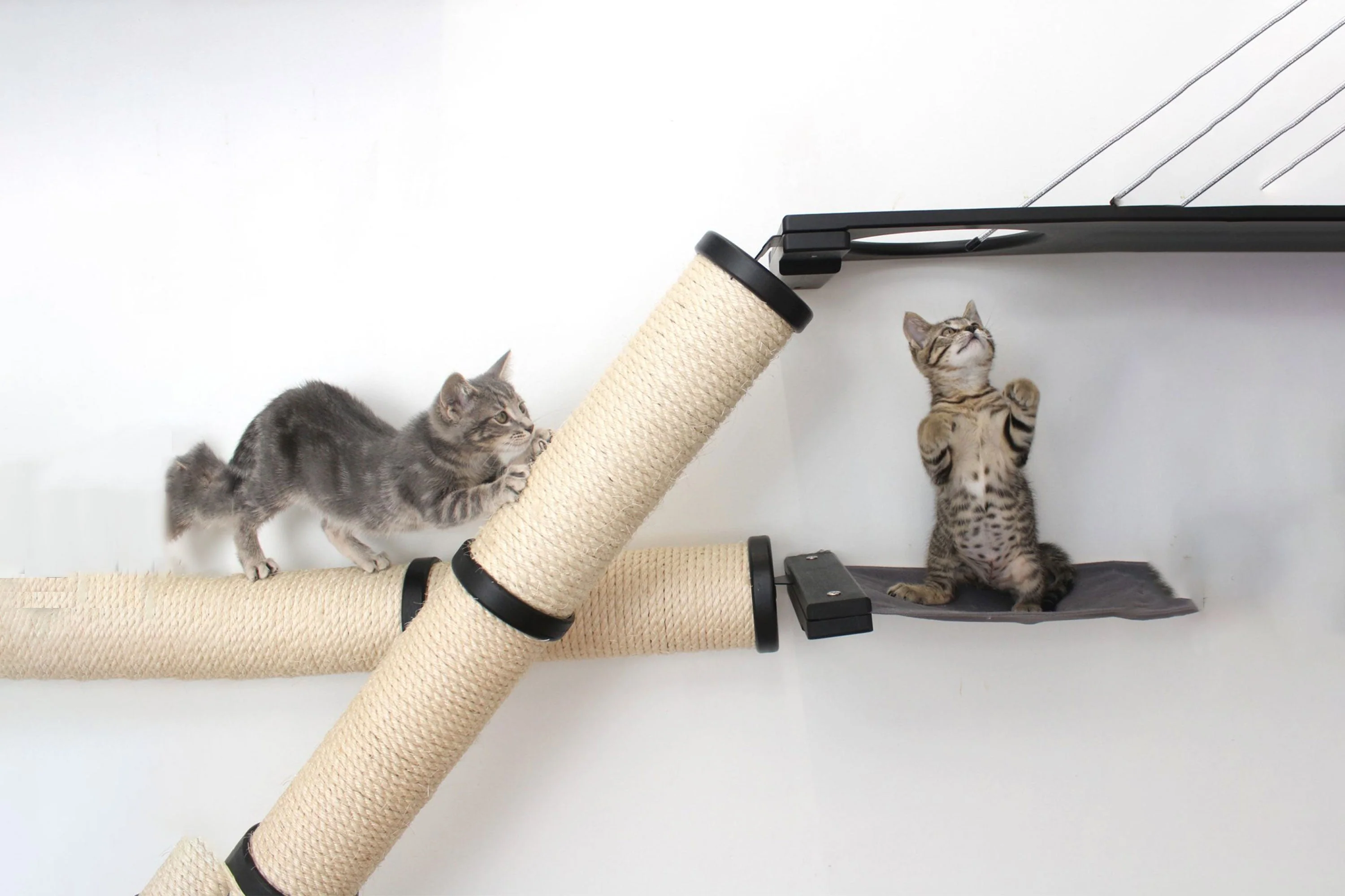 The Crossroads - Cat Wall Scratcher - Tree with Ramp - Image 6