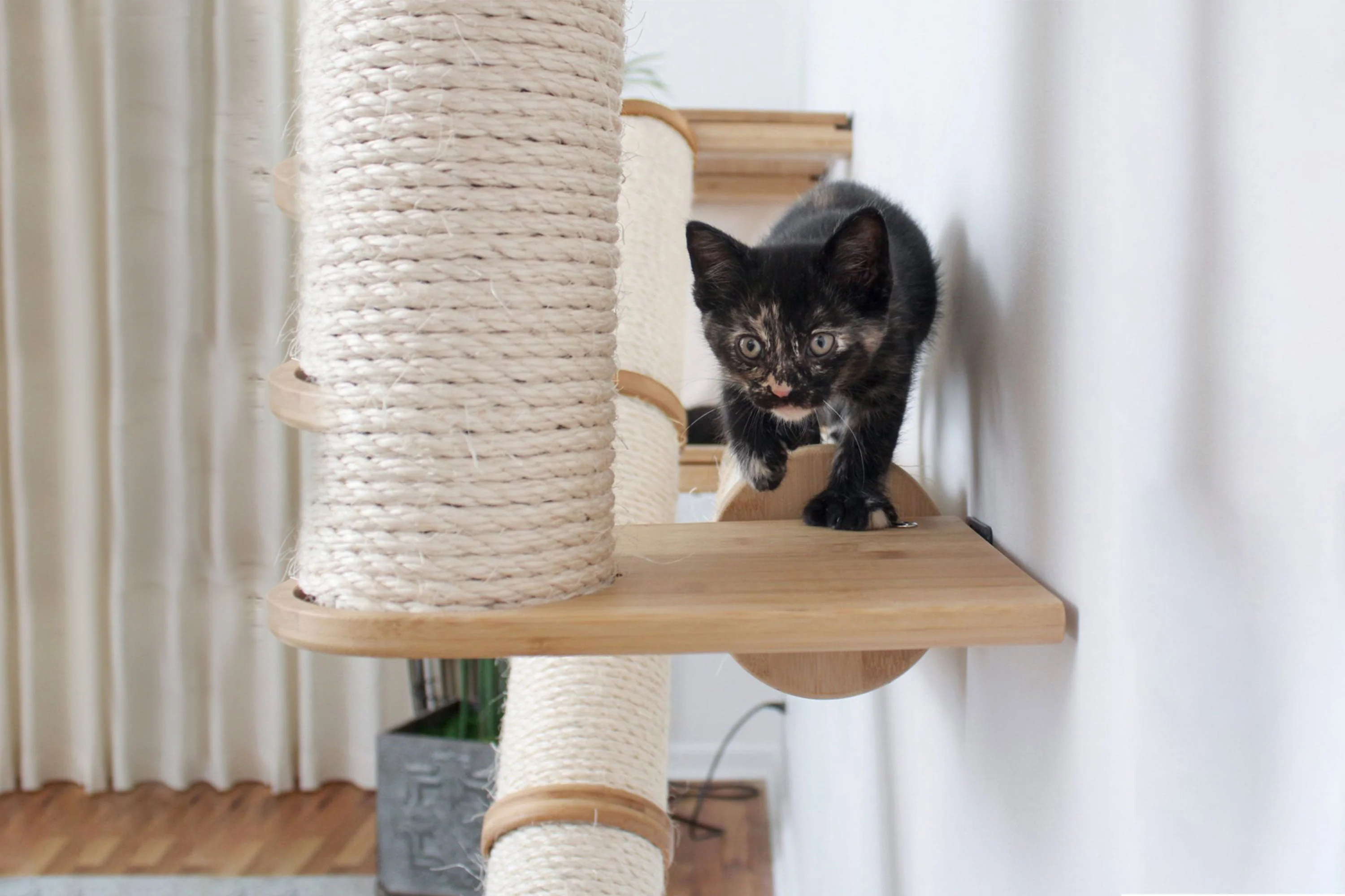 The Crossroads - Cat Wall Scratcher - Tree with Ramp - Image 8