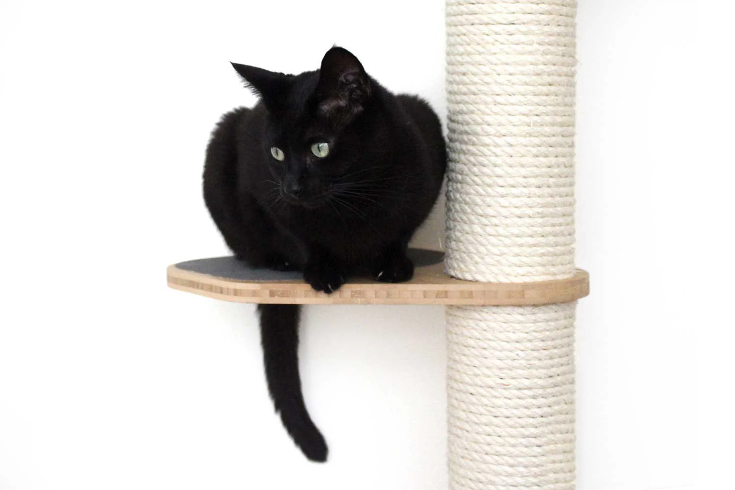 The Crow's Nest - A Wall Cat Scratcher with Hammock - Image 45