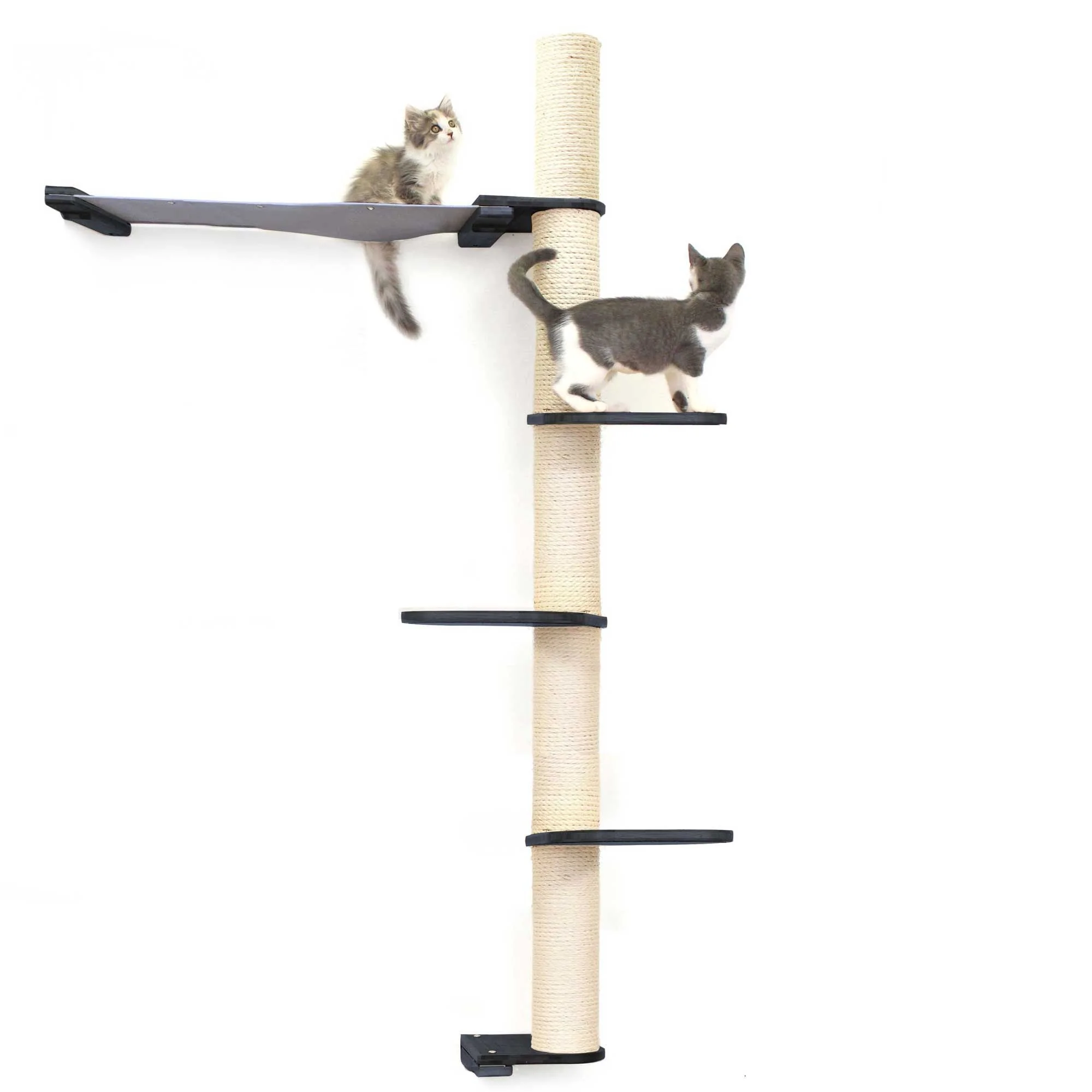 The Crow's Nest - A Wall Cat Scratcher with Hammock - Image 61