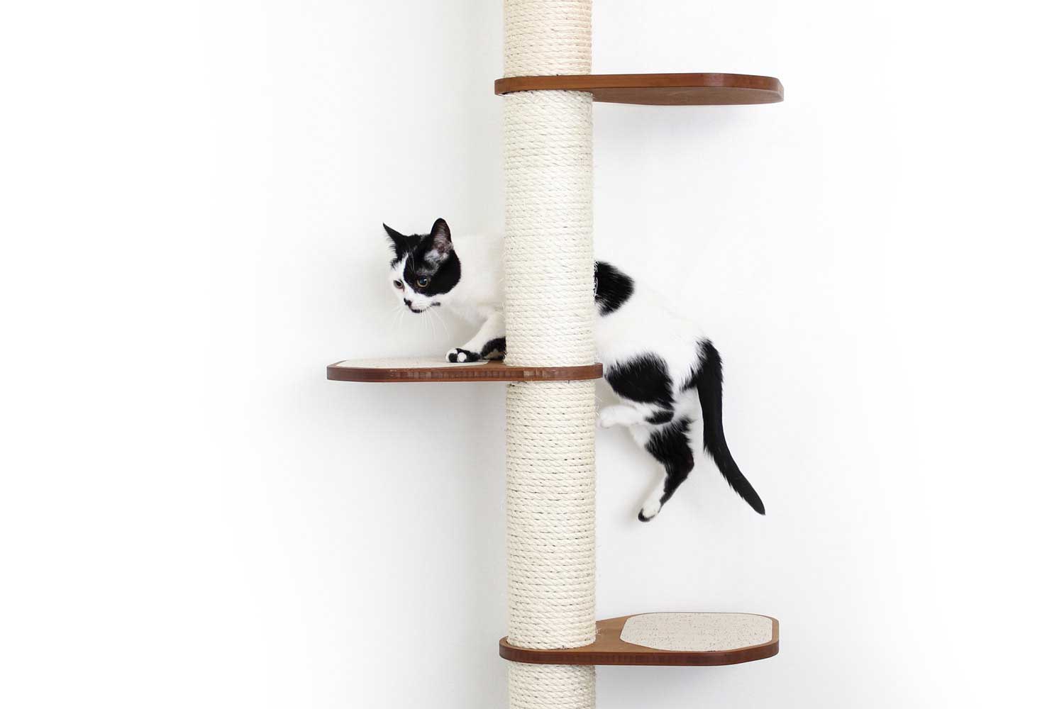 The Crow's Nest - A Wall Cat Scratcher with Hammock - Image 63