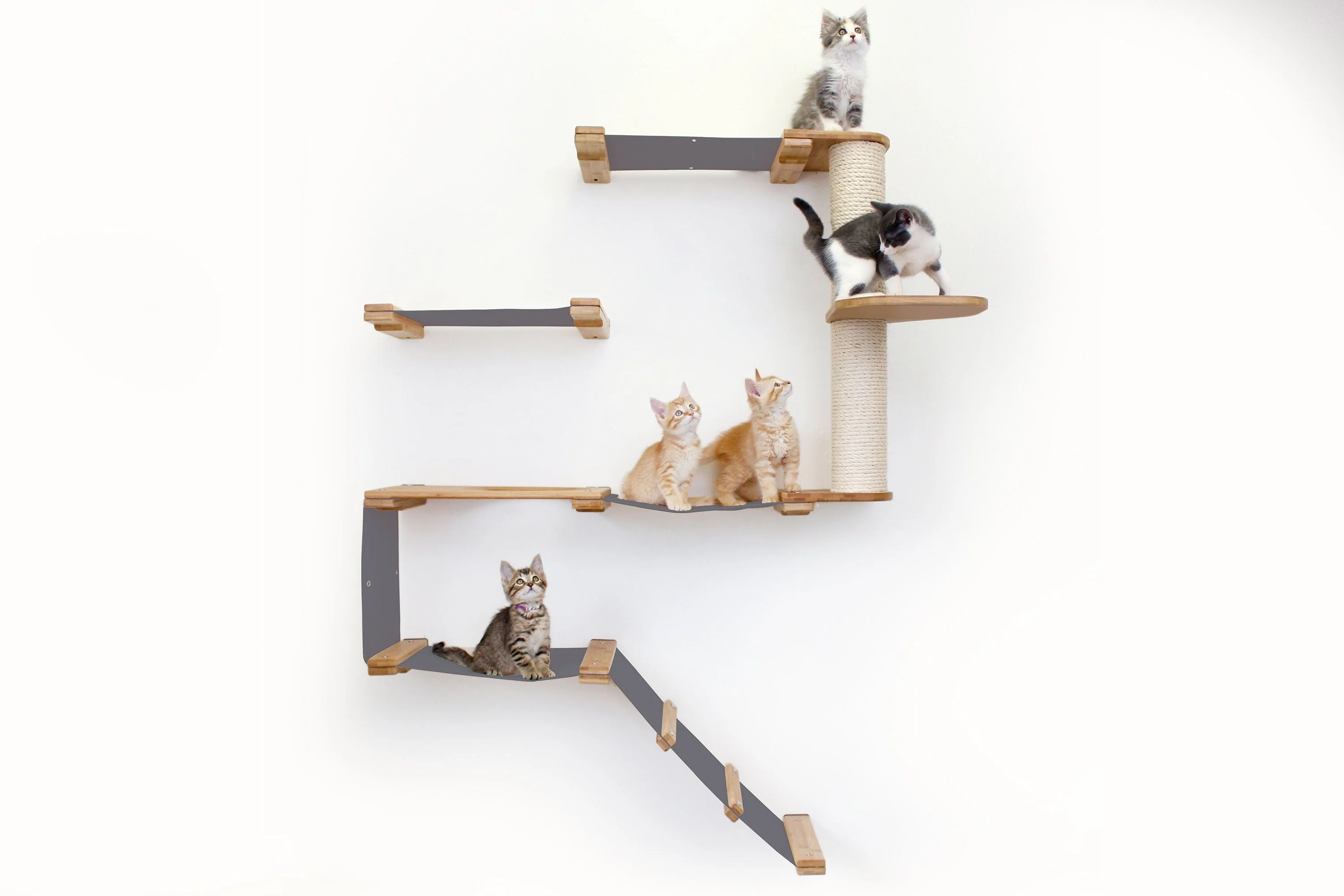 The Deluxe Cat Fort - Modern Cat Condo - Image 18