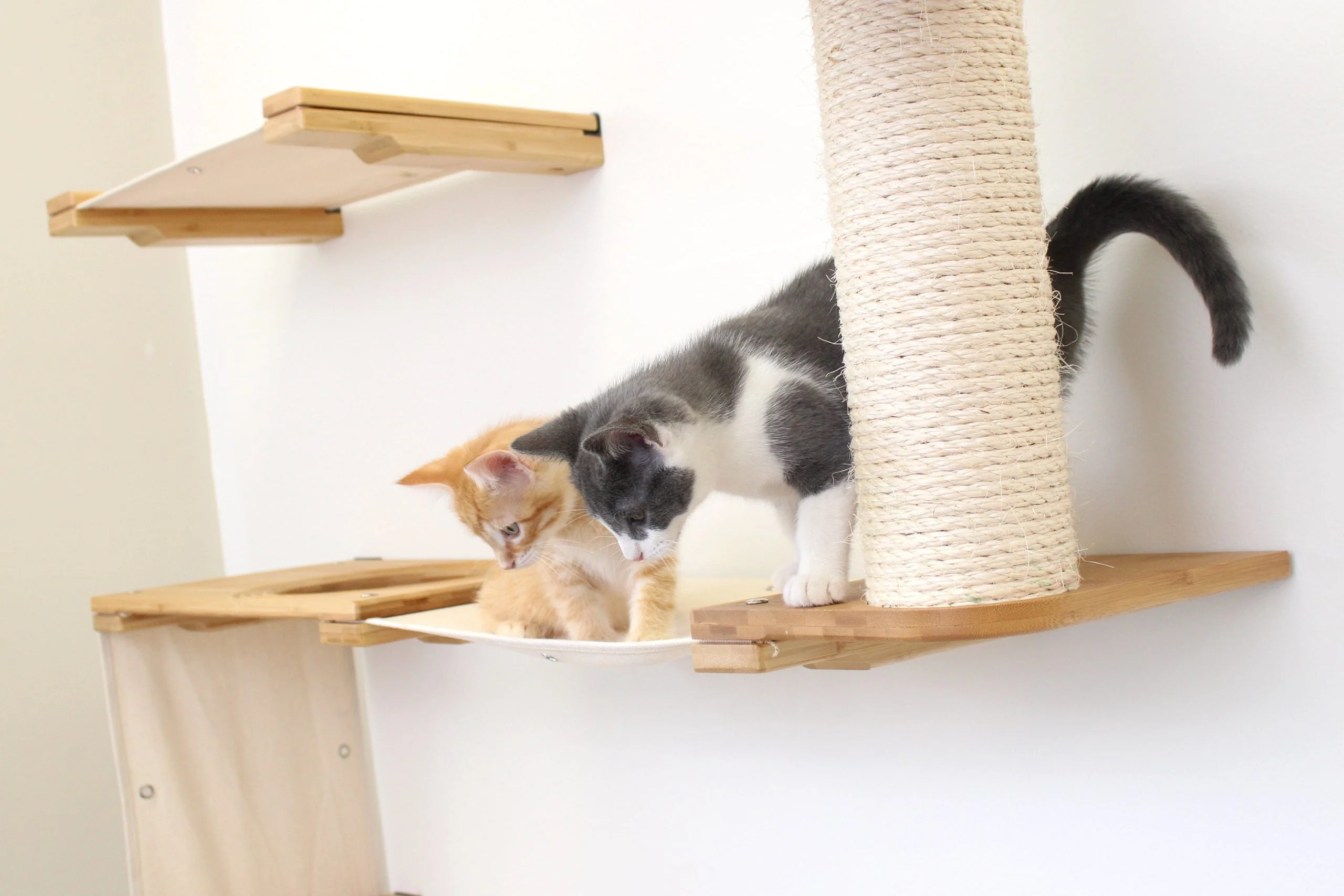 The Deluxe Cat Fort - Modern Cat Condo - Image 2