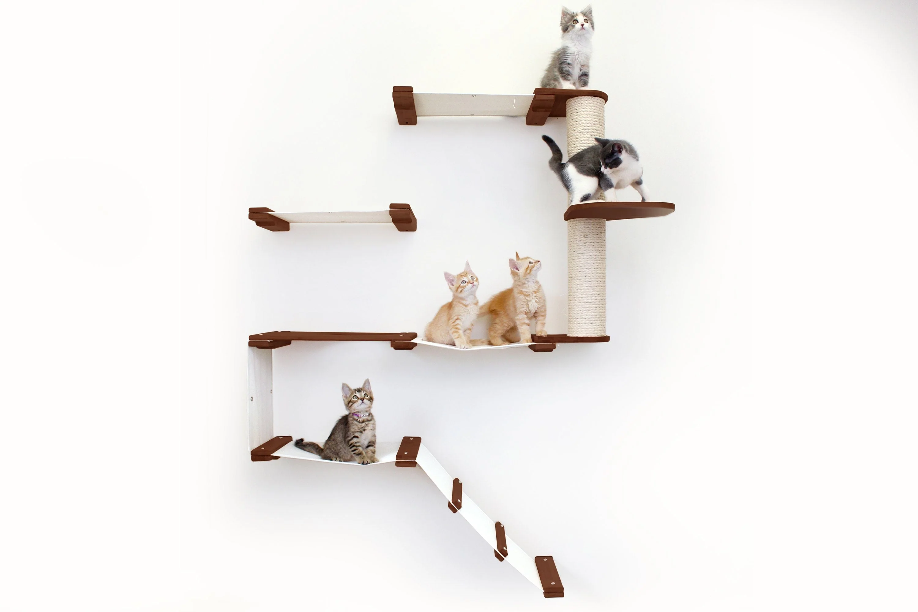 The Deluxe Cat Fort - Modern Cat Condo - Image 20