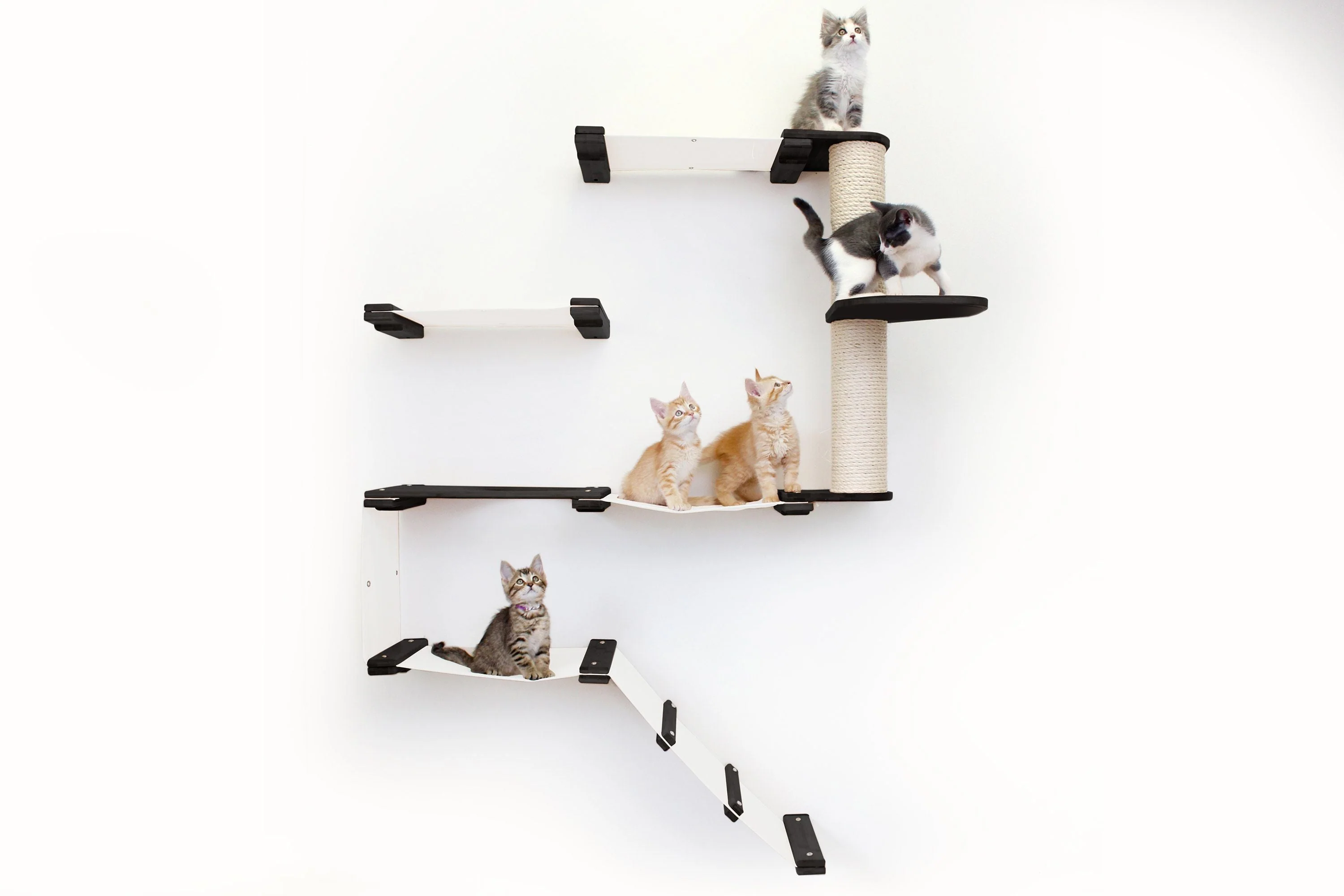 The Deluxe Cat Fort - Modern Cat Condo - Image 24