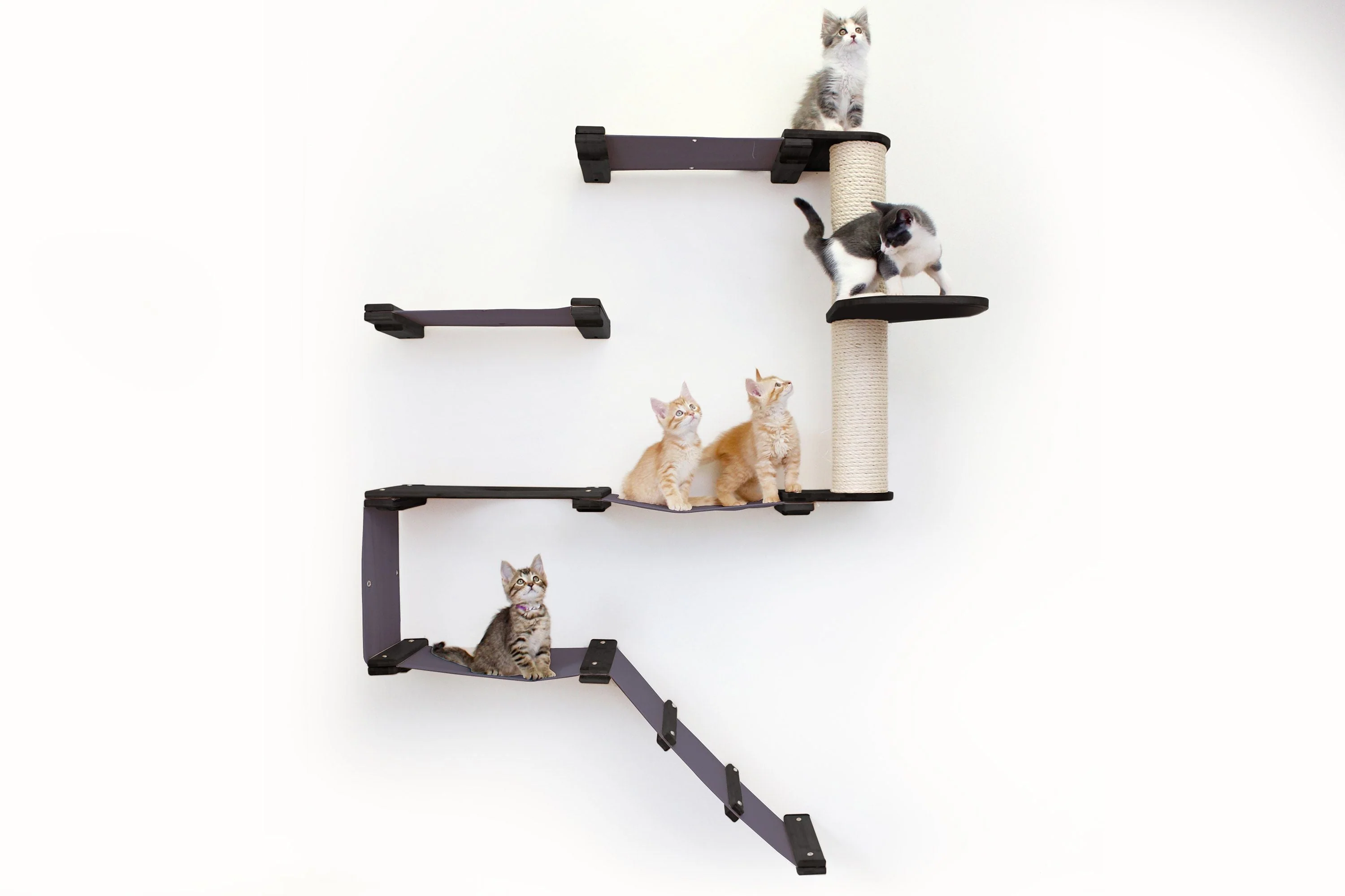 The Deluxe Cat Fort - Modern Cat Condo - Image 28