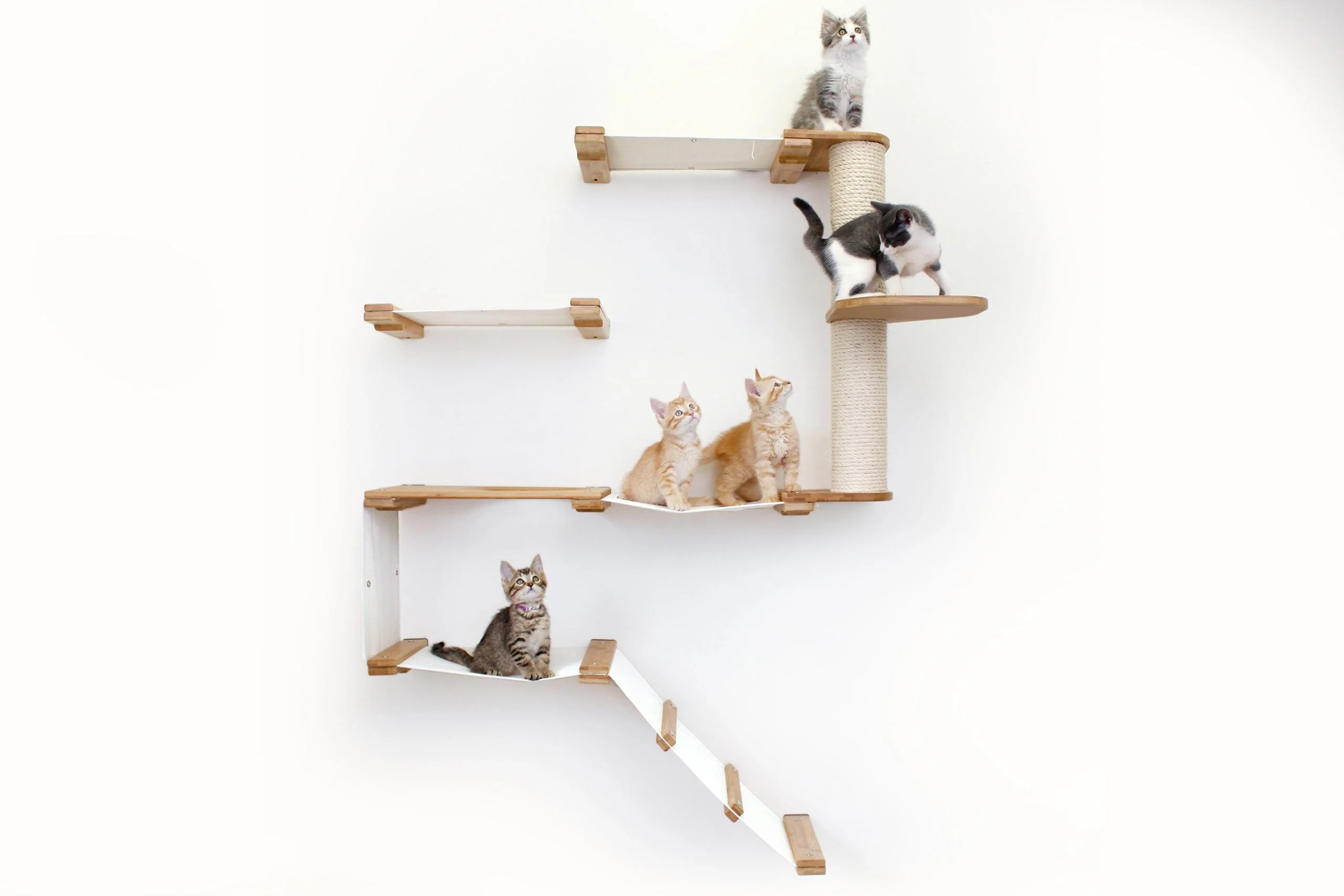 The Deluxe Cat Fort - Modern Cat Condo - Image 30