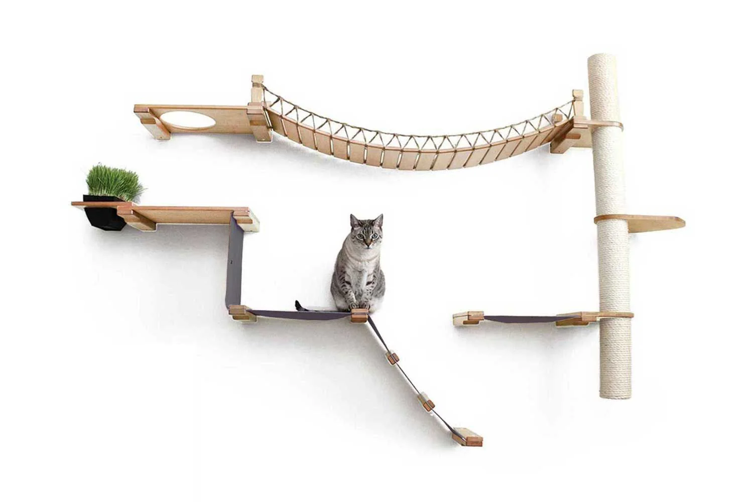 The Expedition - Cat Jungle Gym Wall System - Image 11