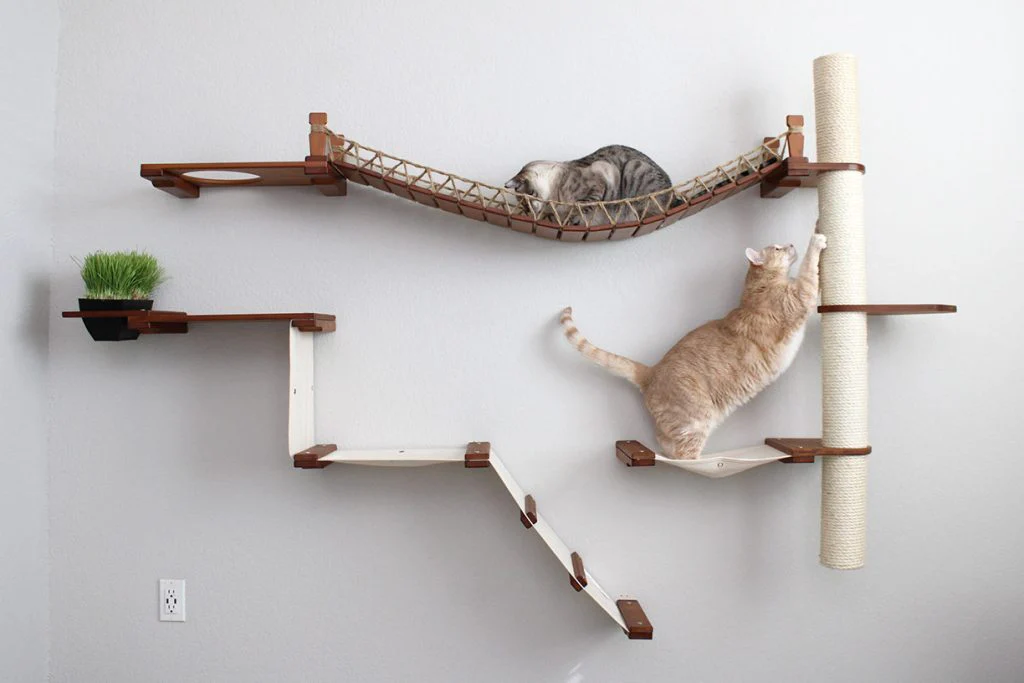 The Expedition - Cat Jungle Gym Wall System - Image 2