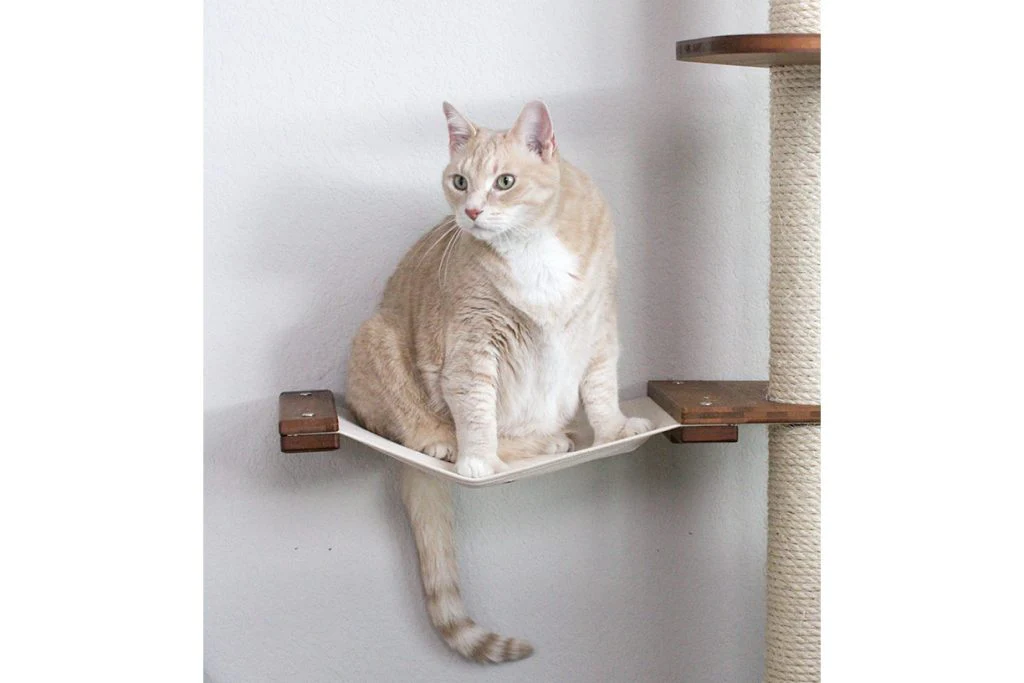 The Expedition - Cat Jungle Gym Wall System - Image 3