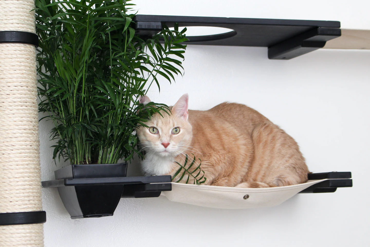 The Gardens - Modern Cat Tree with Plants - Image 15