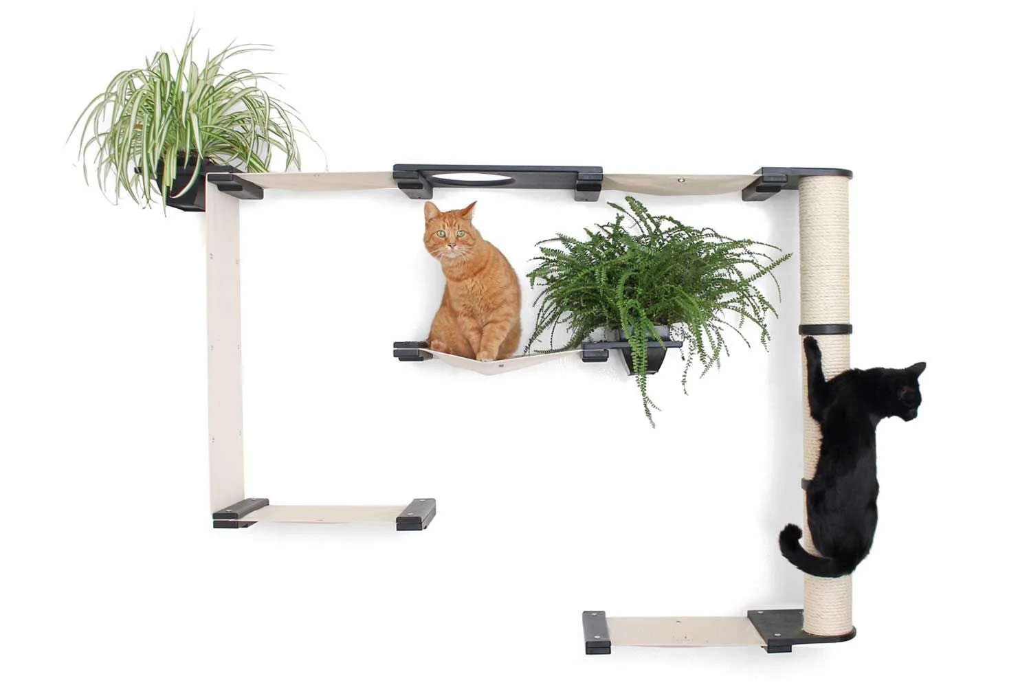 The Gardens - Modern Cat Tree with Plants - Image 17