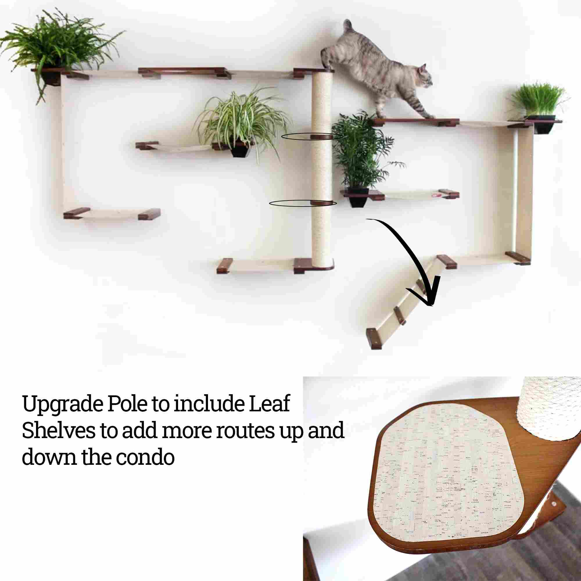 The Gardens - Modern Cat Tree with Plants - Image 21