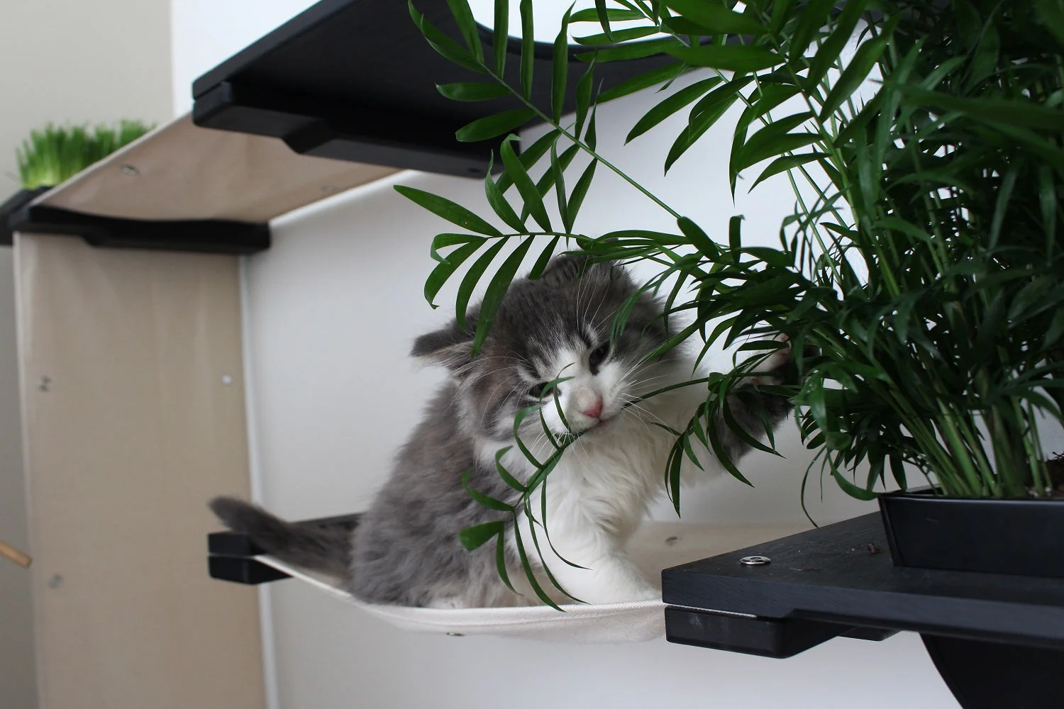 The Gardens - Modern Cat Tree with Plants - Image 3