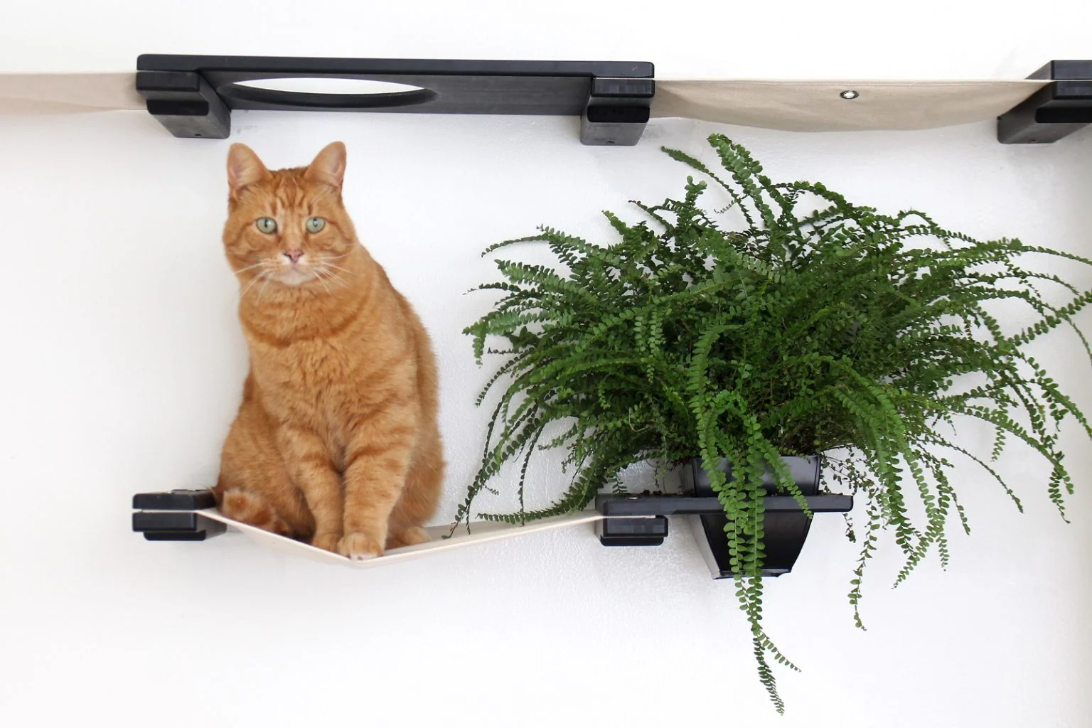 The Gardens - Modern Cat Tree with Plants - Image 4