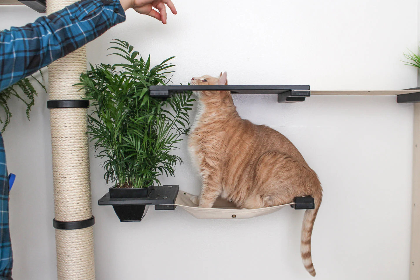 The Gardens - Modern Cat Tree with Plants - Image 7