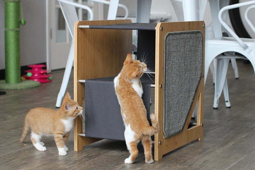 The Grotto - Short Cat Tree for Small Spaces - Image 3