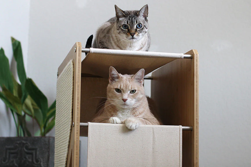 The Grotto - Short Cat Tree for Small Spaces - Image 8